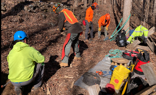 A group of people are working in the woods.