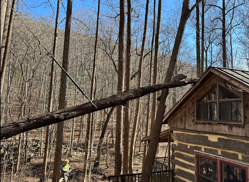 A log cabin in the woods with a fallen tree branch in front of it.