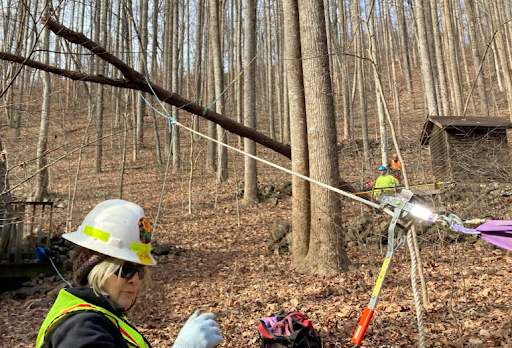 A woman wearing a hard hat and safety vest is working in the woods.