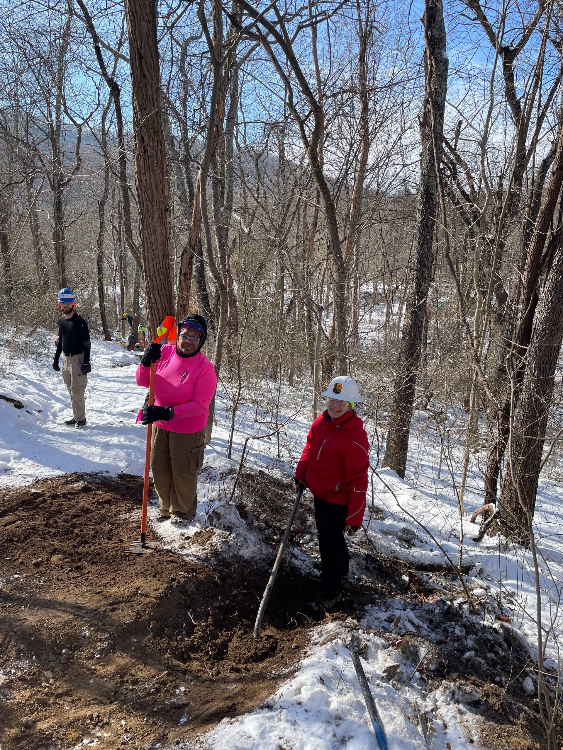 A group of people are digging in the snow in the woods.