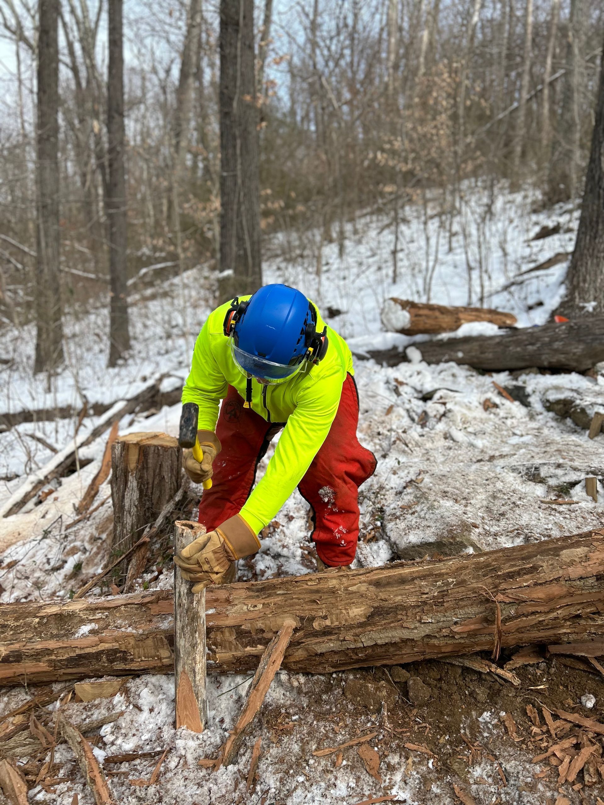 A man is cutting a log with a chainsaw in the woods.