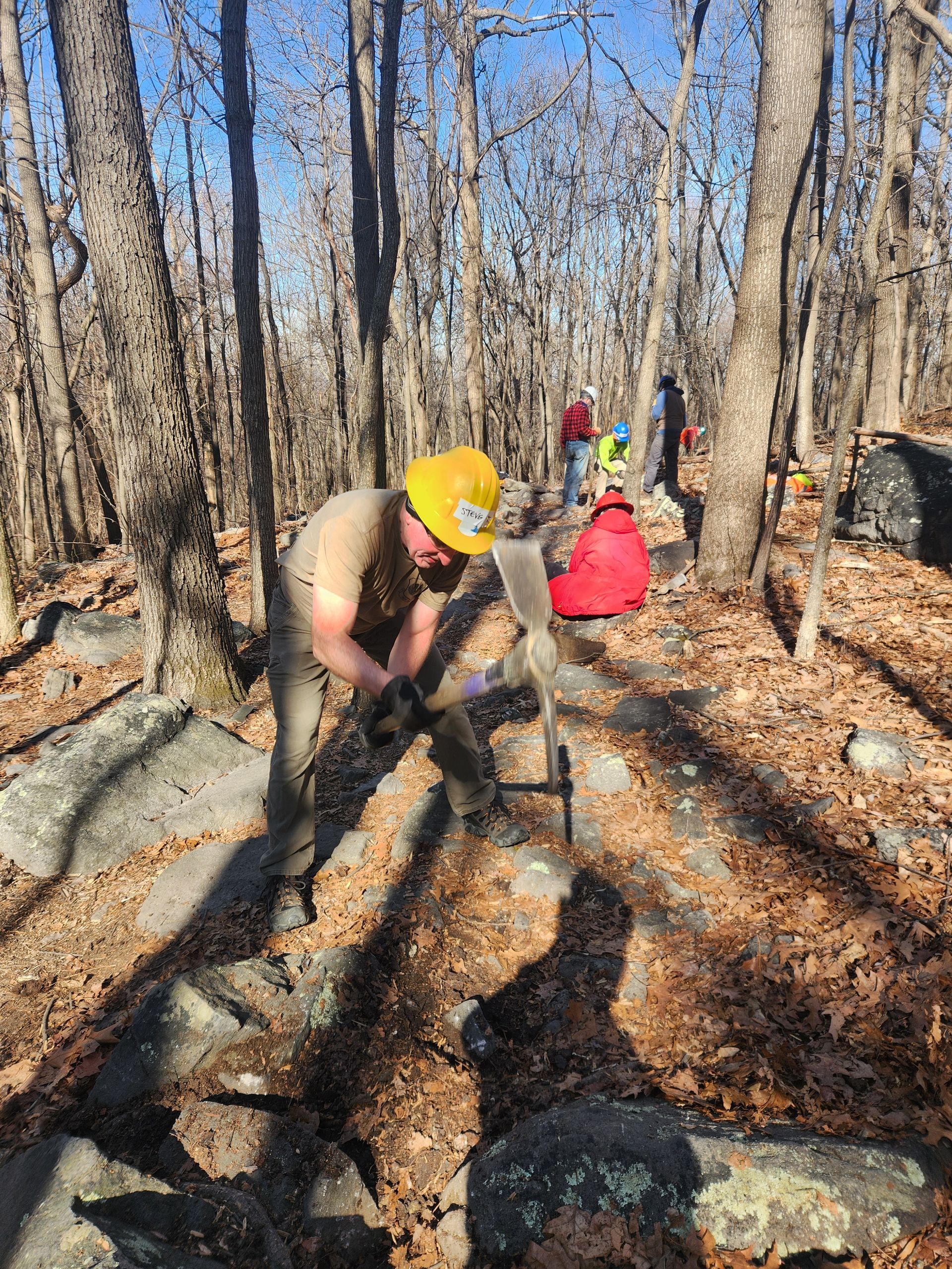 A man is digging in the woods with a shovel.