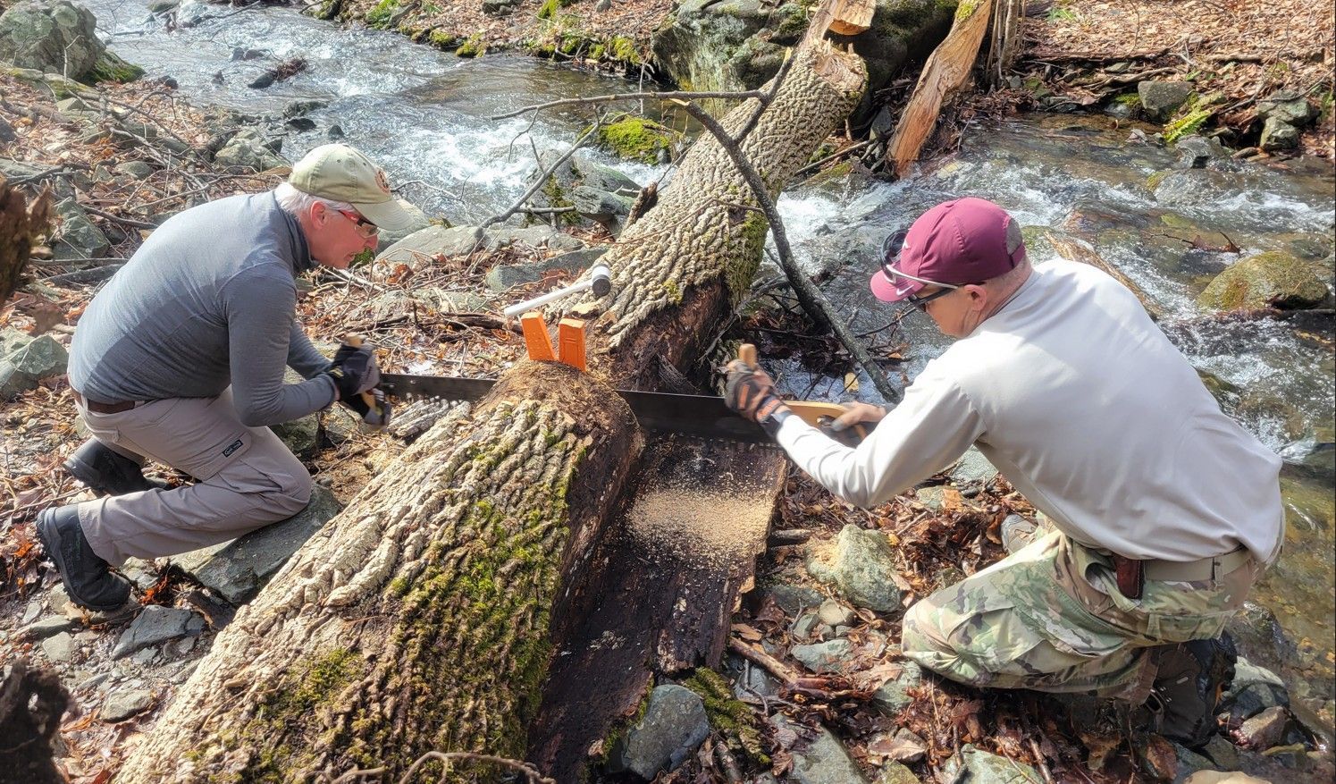 Two men are cutting a tree trunk with a chainsaw in the woods.