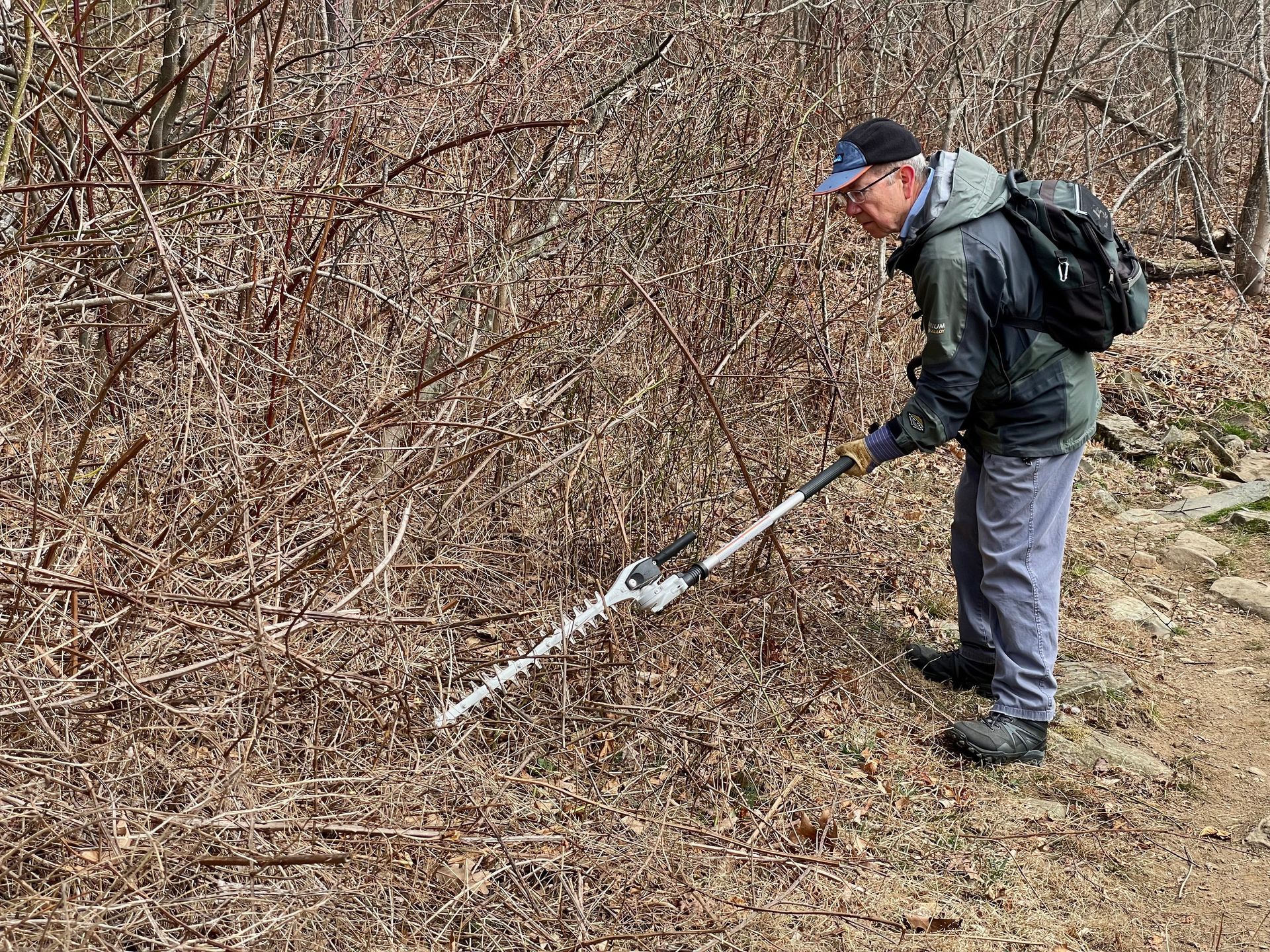 A man is using a hedge trimmer to cut branches in the woods.