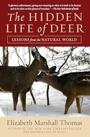 The hidden life of deer lessons from the natural world by elizabeth marshall thomas