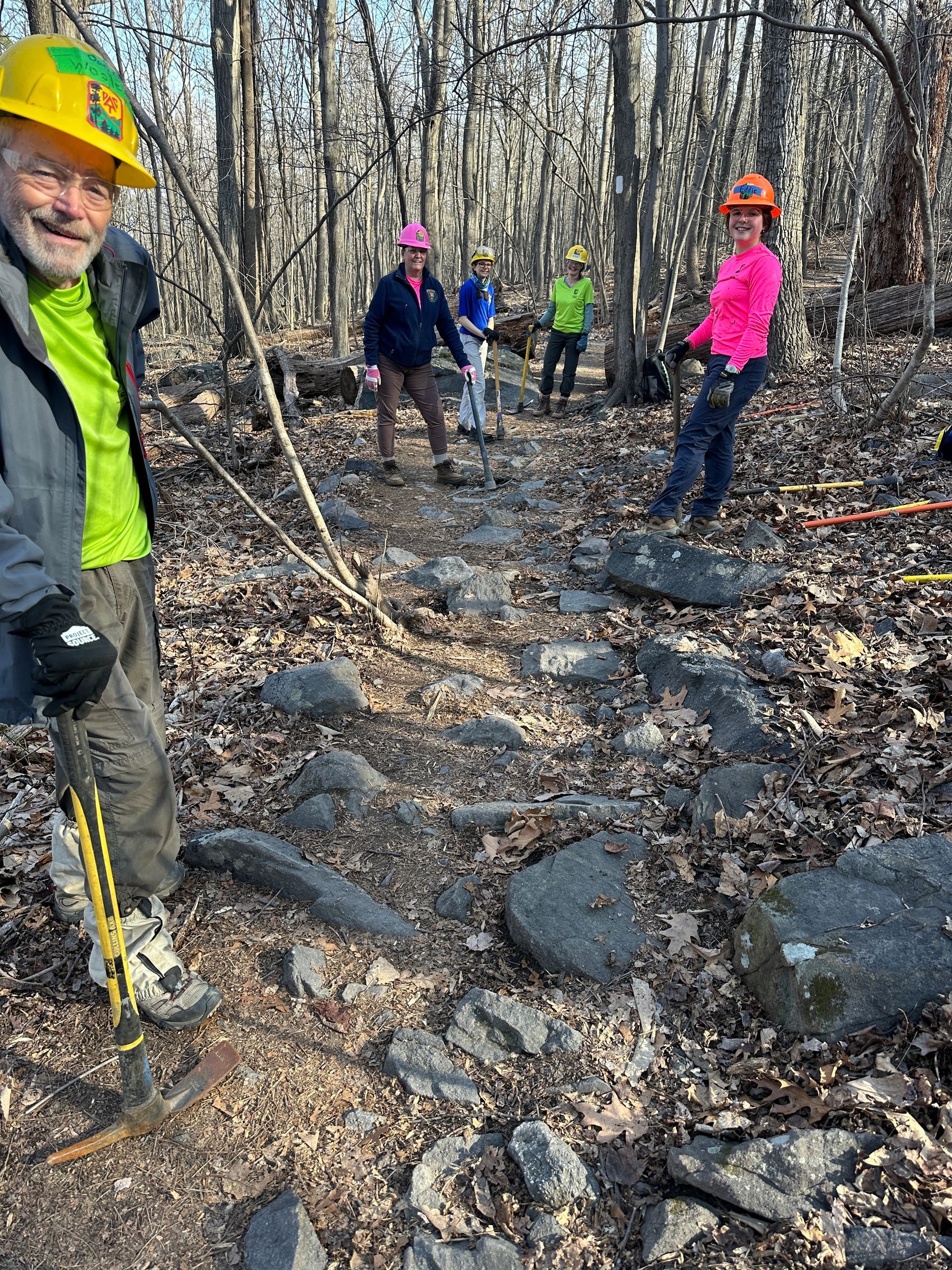 A group of people are working on a trail in the woods.