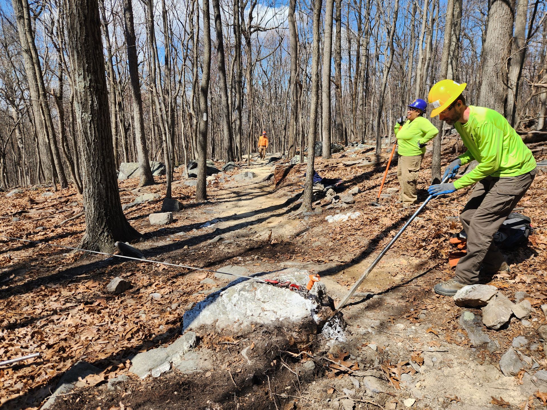 A group of people are working on a trail in the woods.