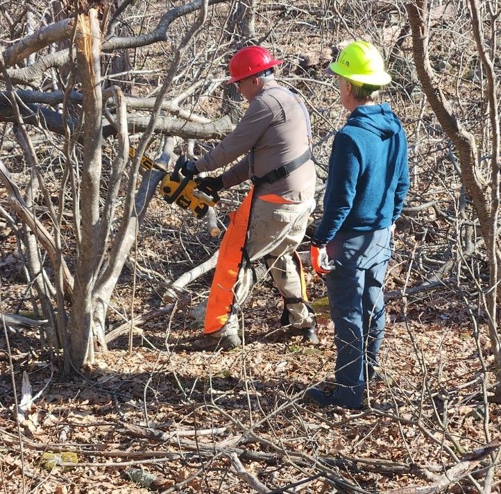 Two men wearing hard hats are working in the woods