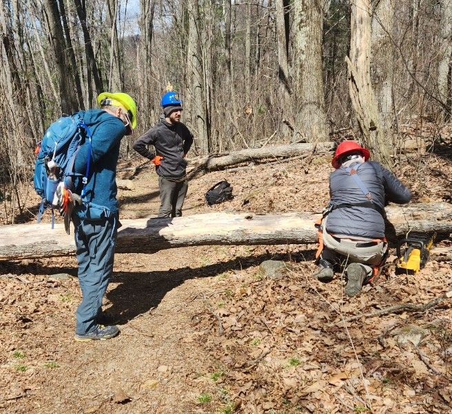 A group of people are standing around a log in the woods.