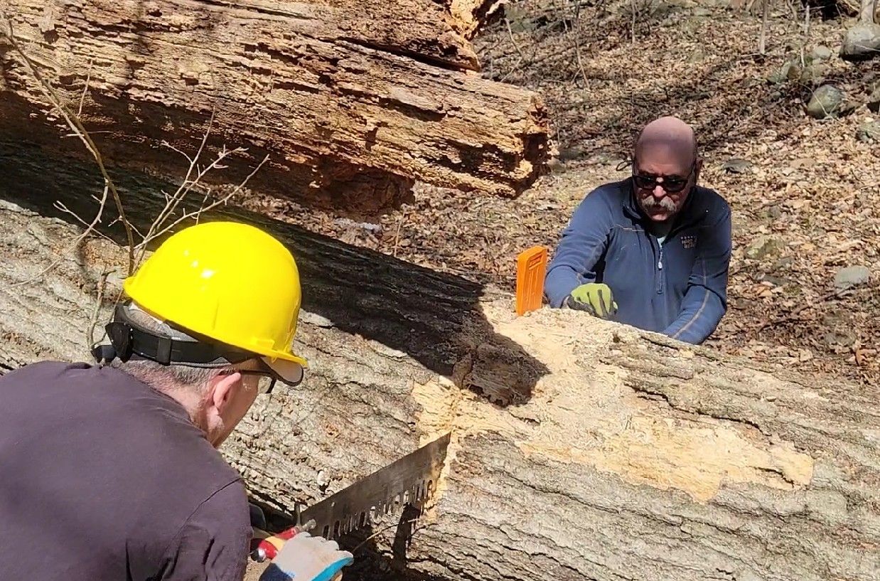 Two men are cutting a large log with a chainsaw.