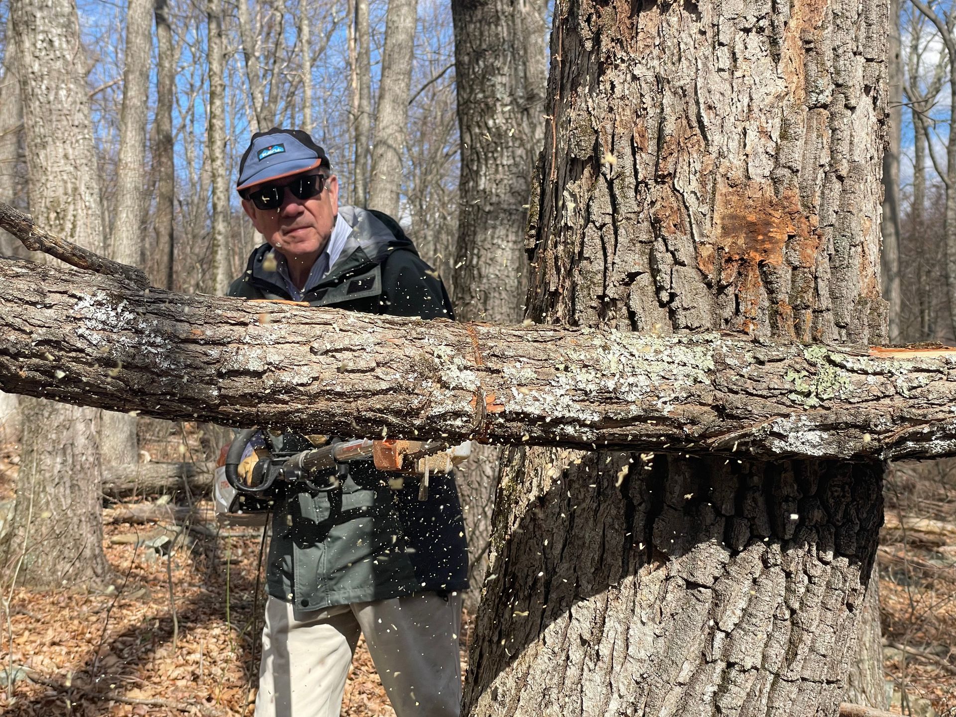 A man is cutting a tree branch with a chainsaw in the woods.