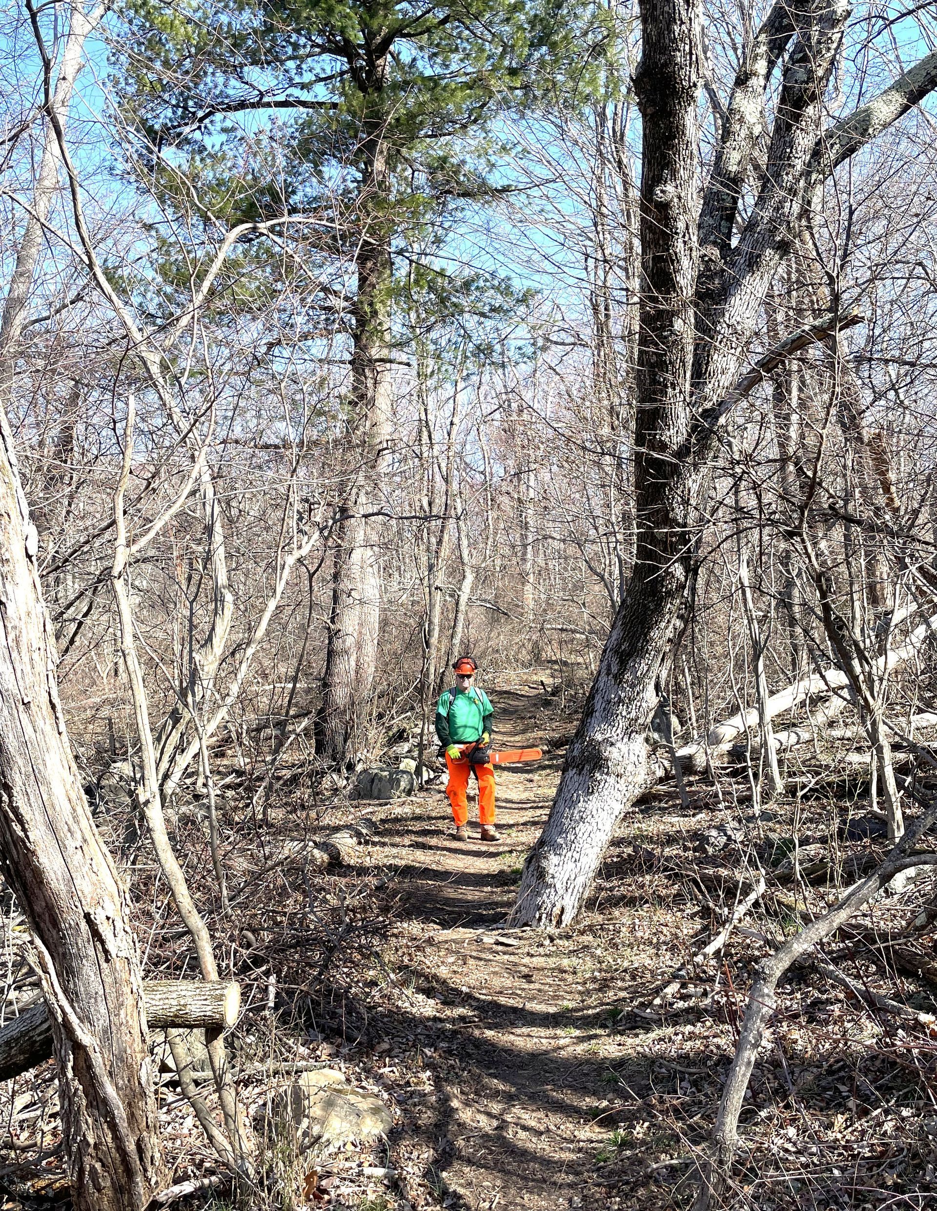 A person is walking down a path in the woods.