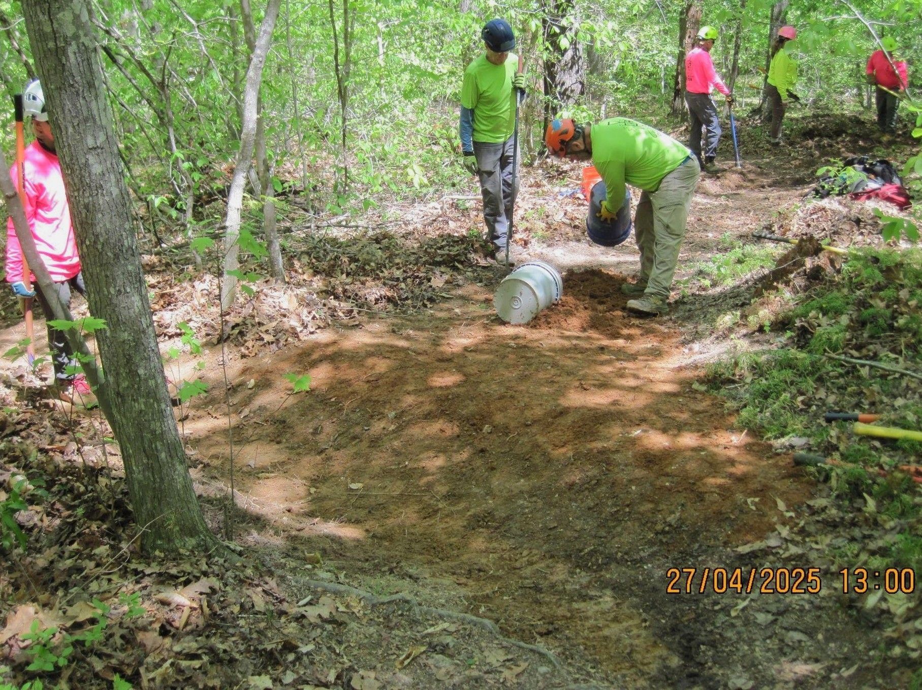 A group of people are working in the woods.