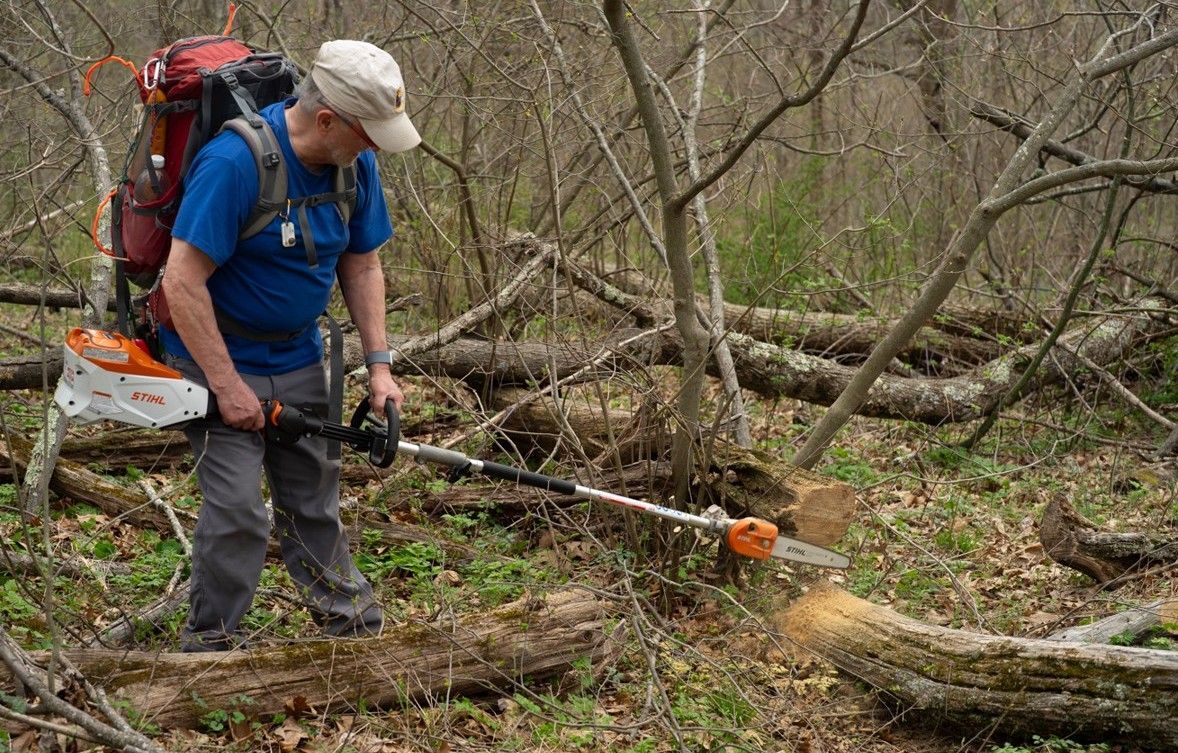 A man is cutting a tree with a chainsaw in the woods.