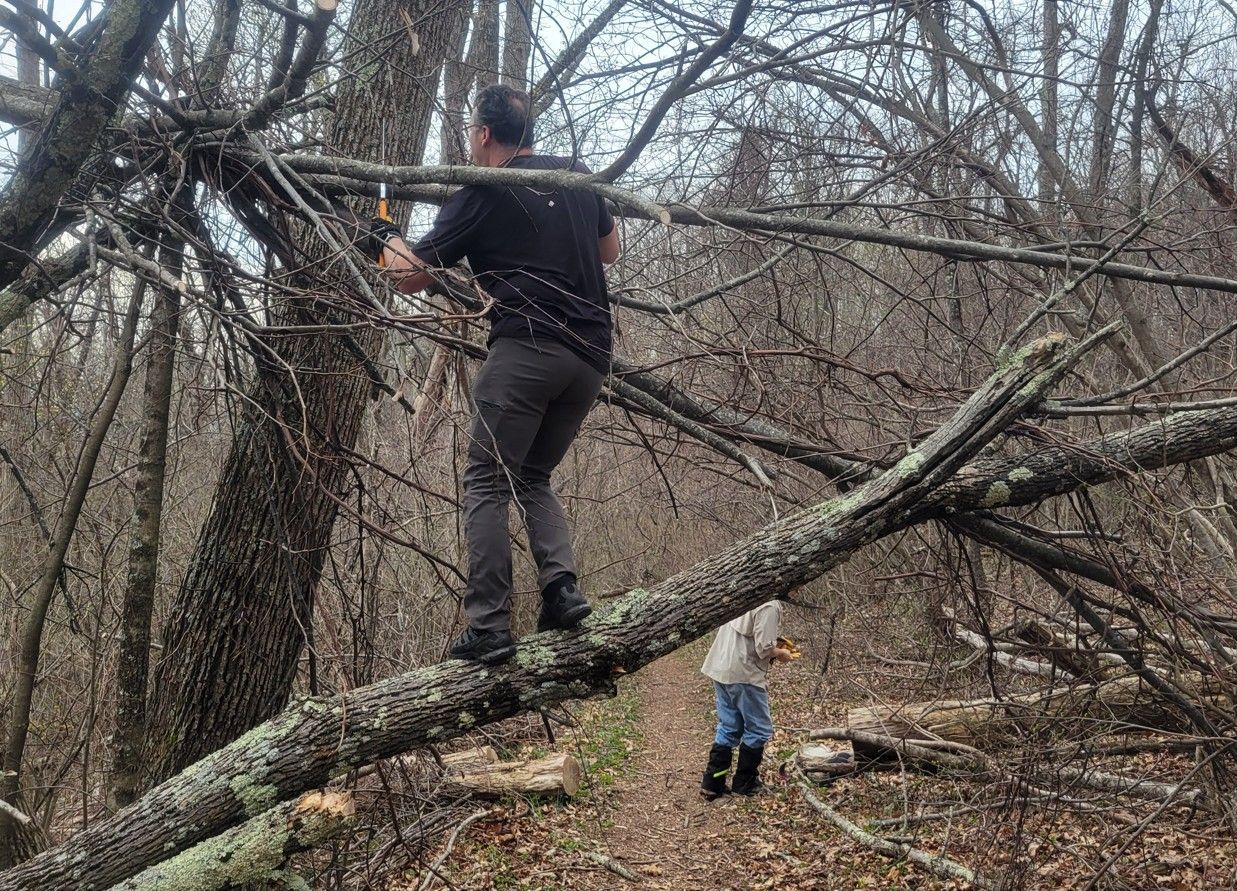 A man is standing on a tree branch in the woods.