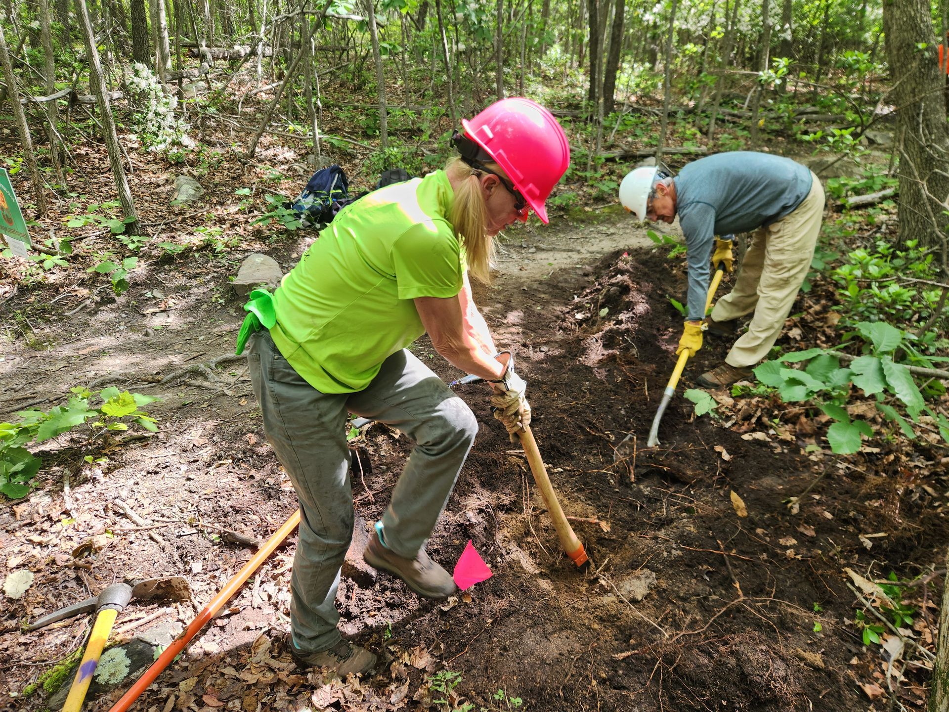 A man and a woman are digging in the woods with shovels.