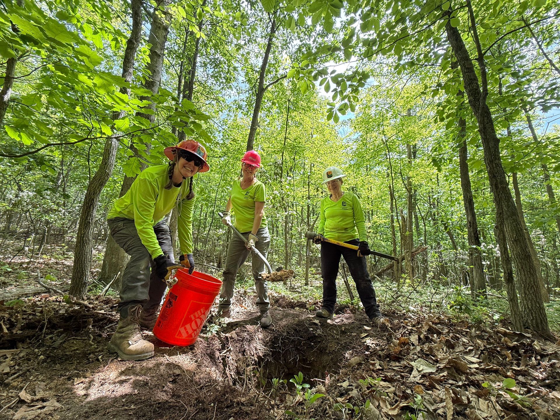 A group of people are working in the woods.