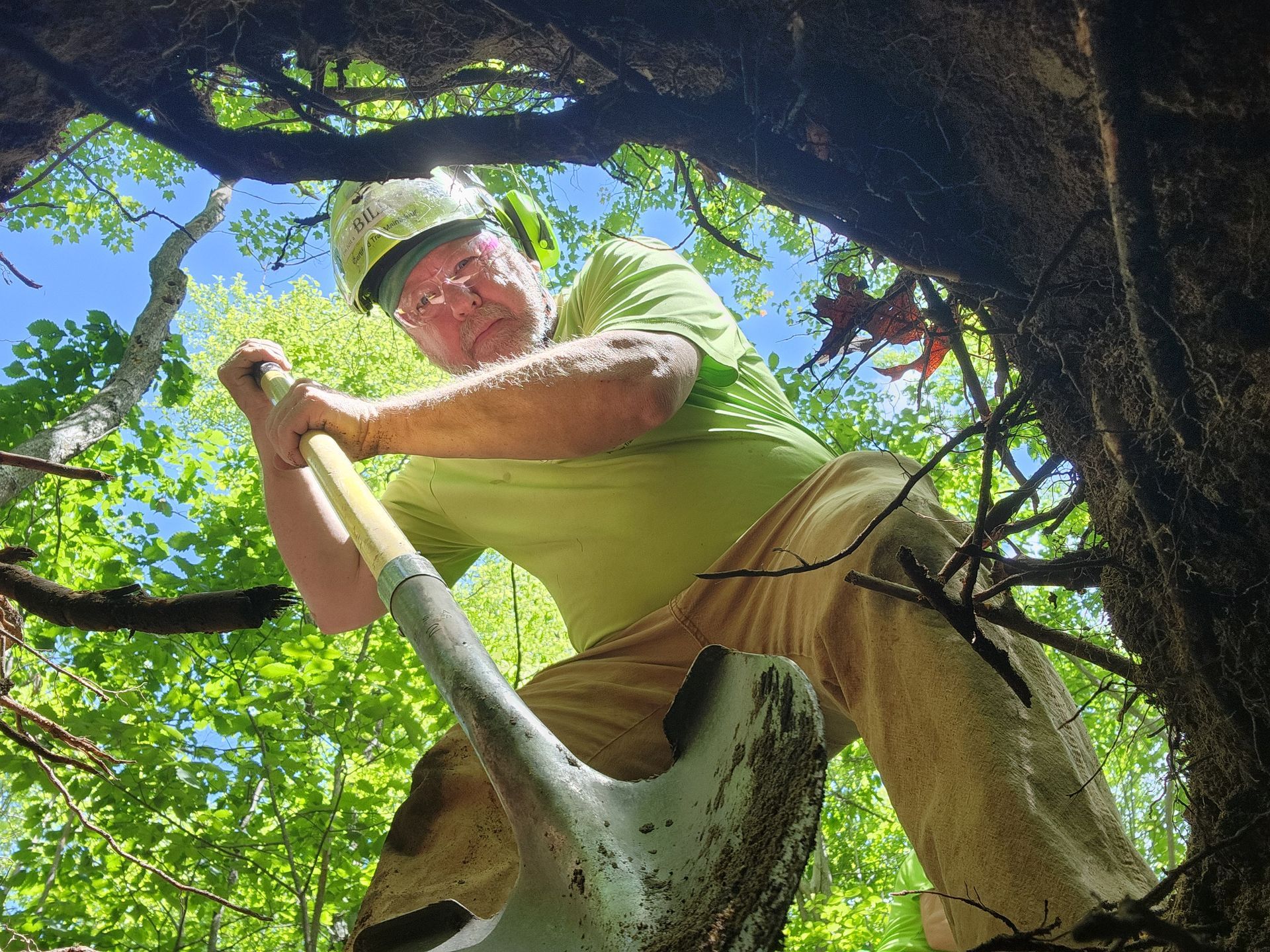 A man in a green shirt is digging in a tree with a shovel