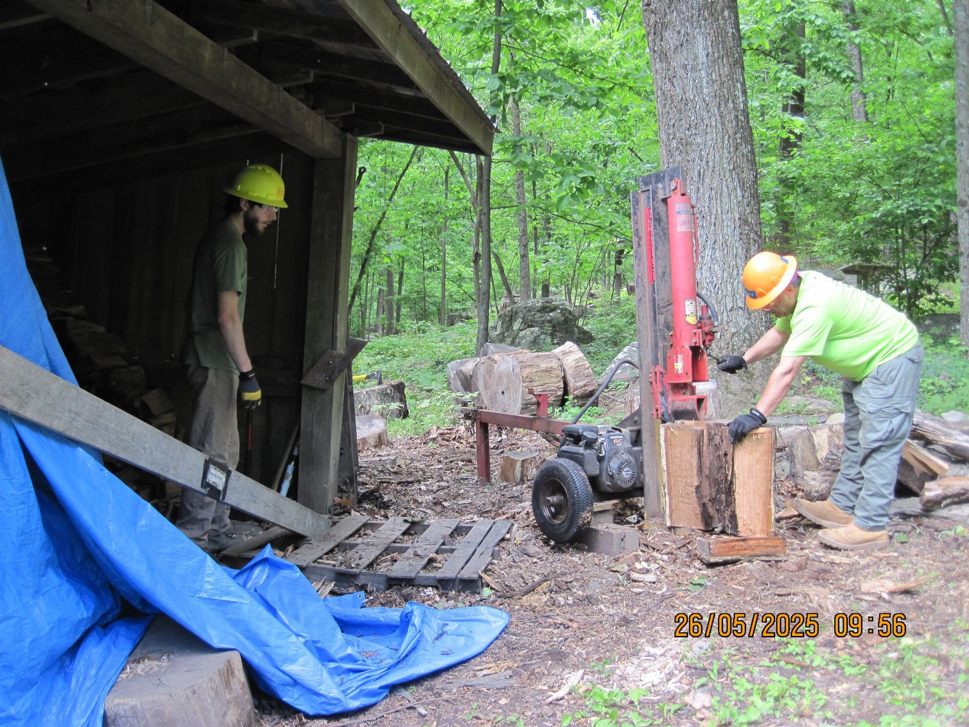 A man is using a log splitter to chop wood in the woods