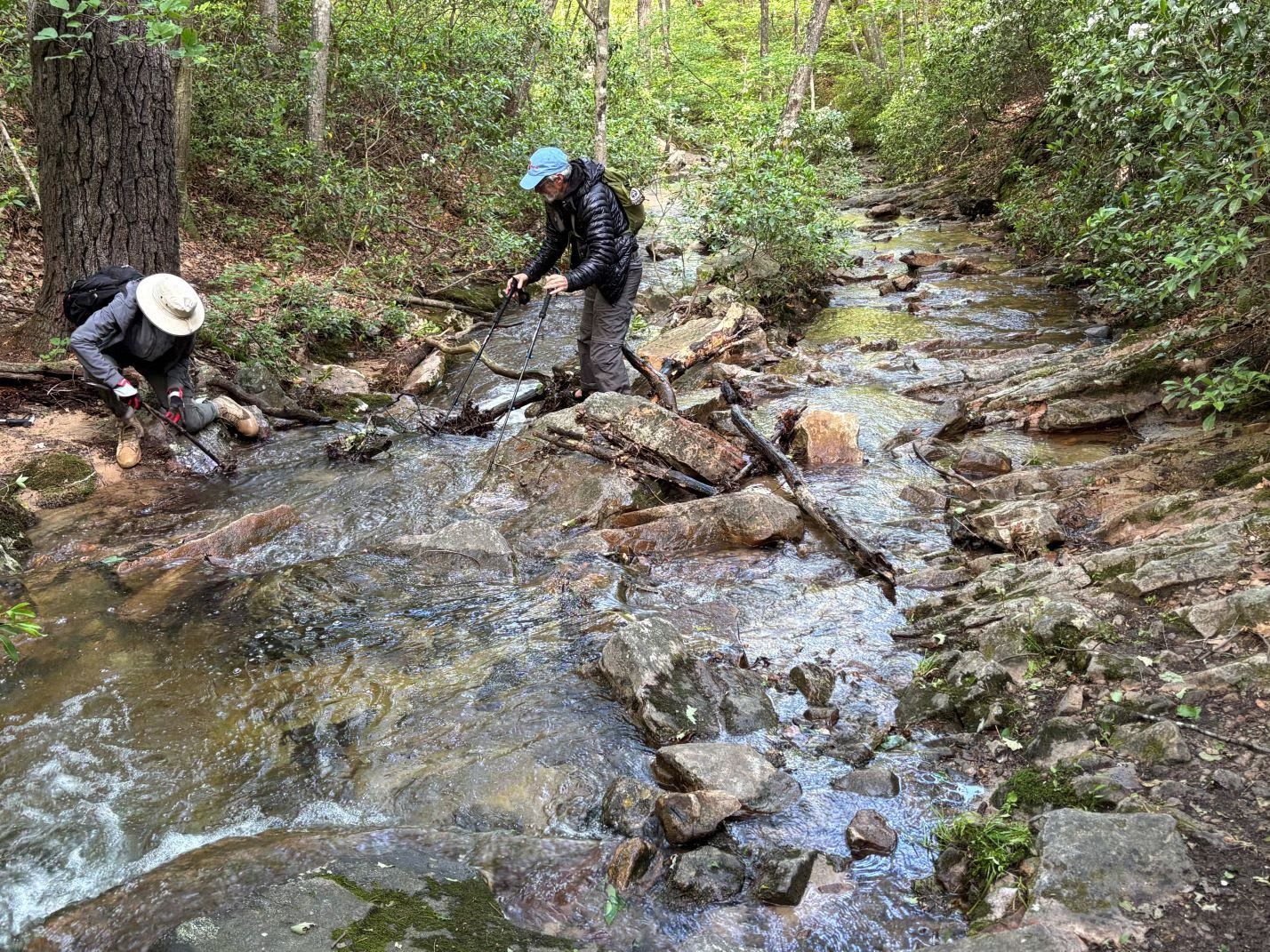 Two people are crossing a stream in the woods.