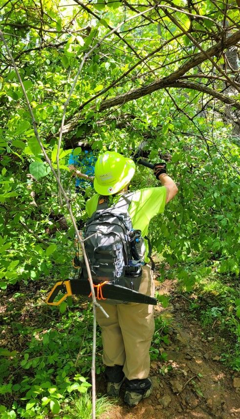 A man is standing in the woods with a backpack and a saw.