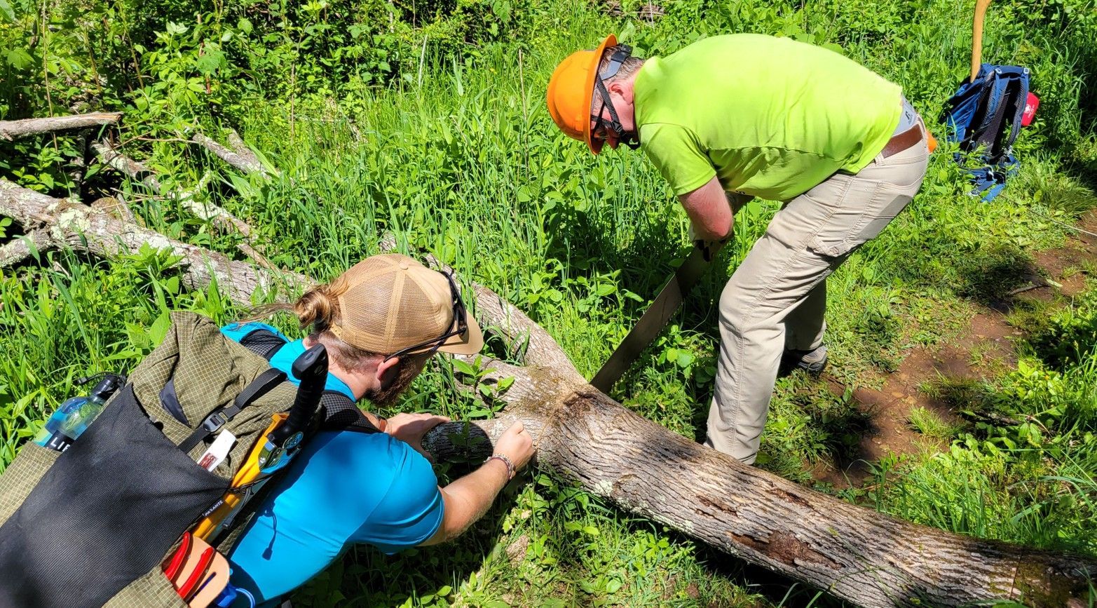 Two men are working on a tree trunk in the woods.