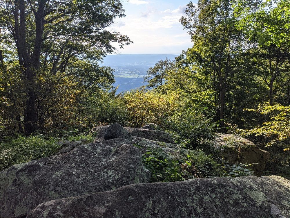 There are a lot of rocks in the foreground and trees in the background.