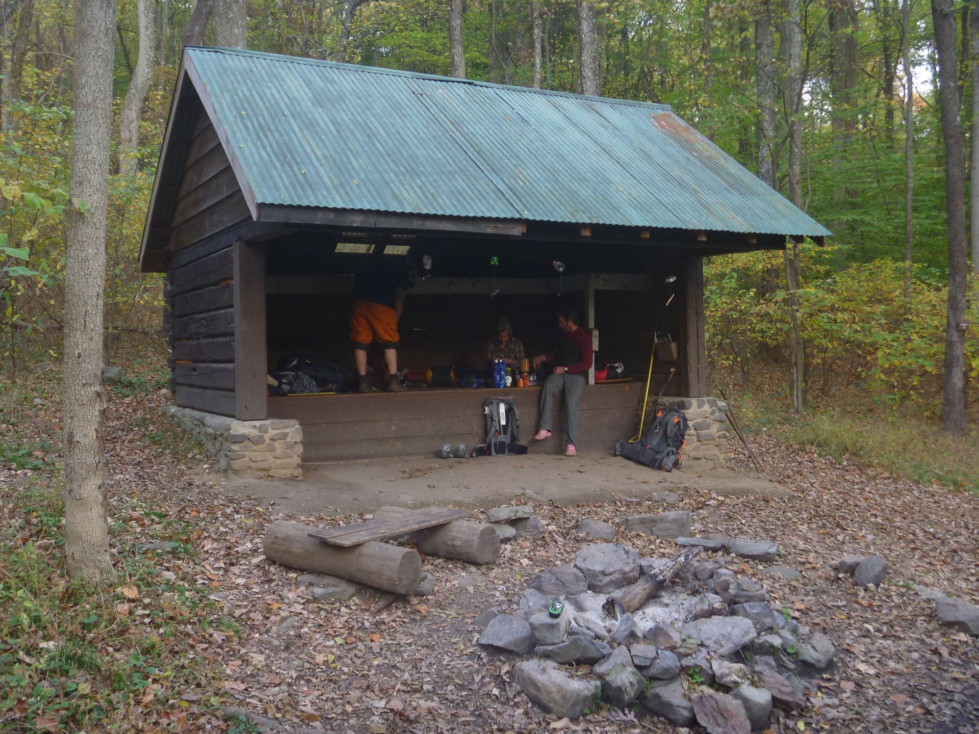 A shelter in the woods with a green roof