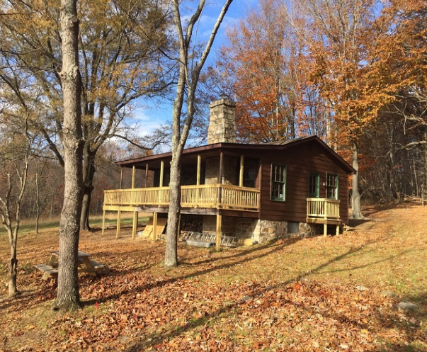A small log cabin in the middle of a forest
