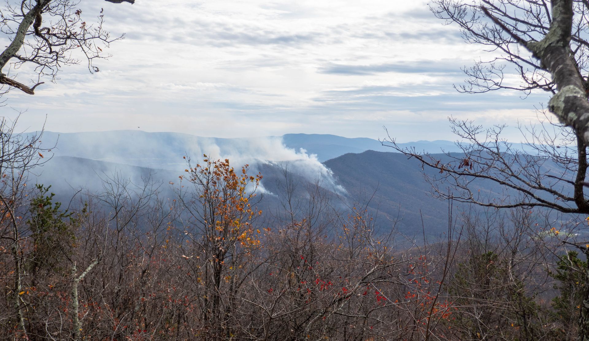 A view of a mountain range with trees in the foreground