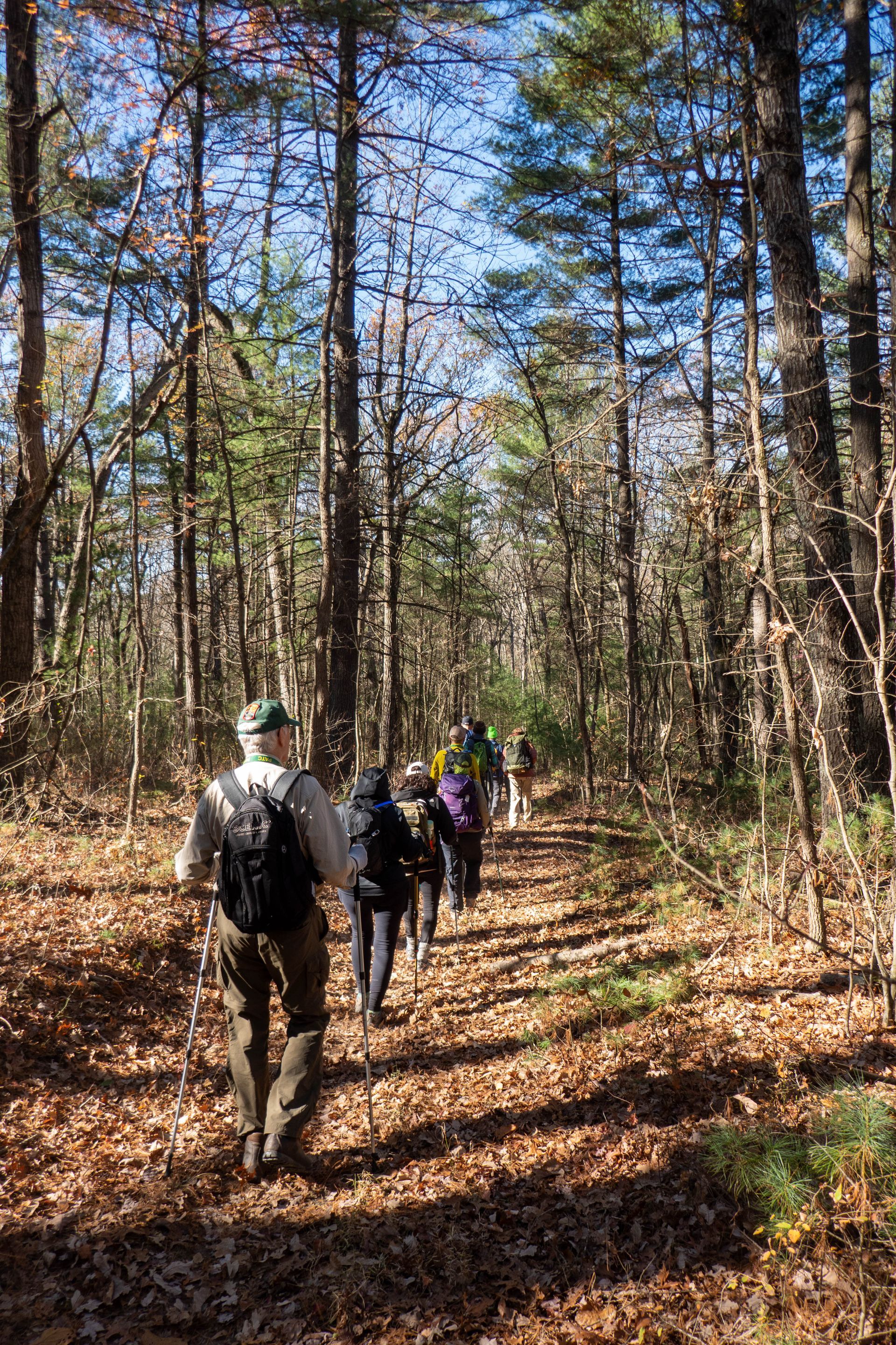 A group of people are walking down a path in the woods.