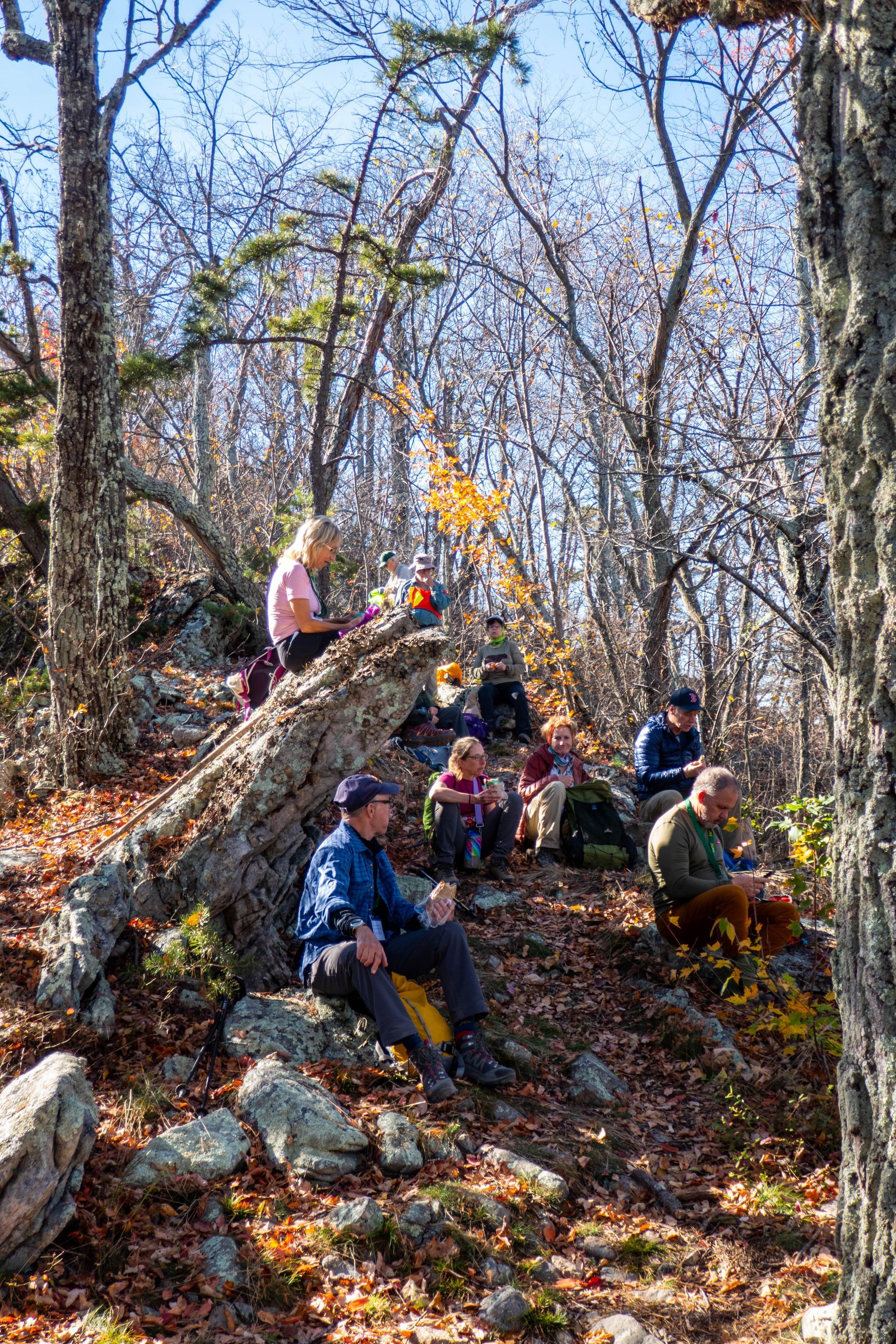 A group of people are sitting on rocks in the woods.