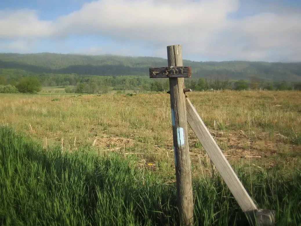 A wooden post with a sign on it in a field with mountains in the background.