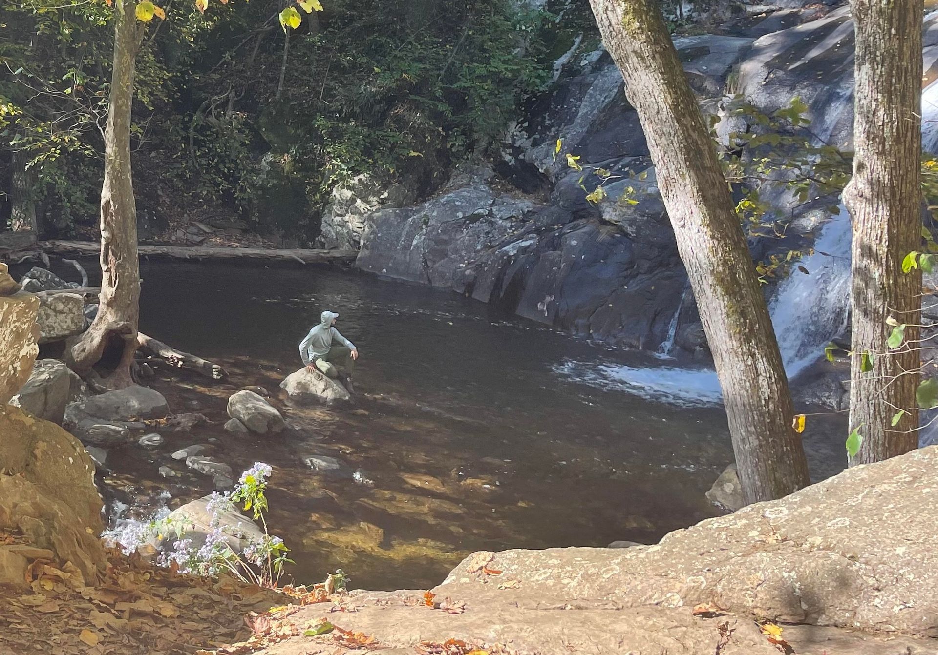 A river surrounded by trees and rocks in the woods