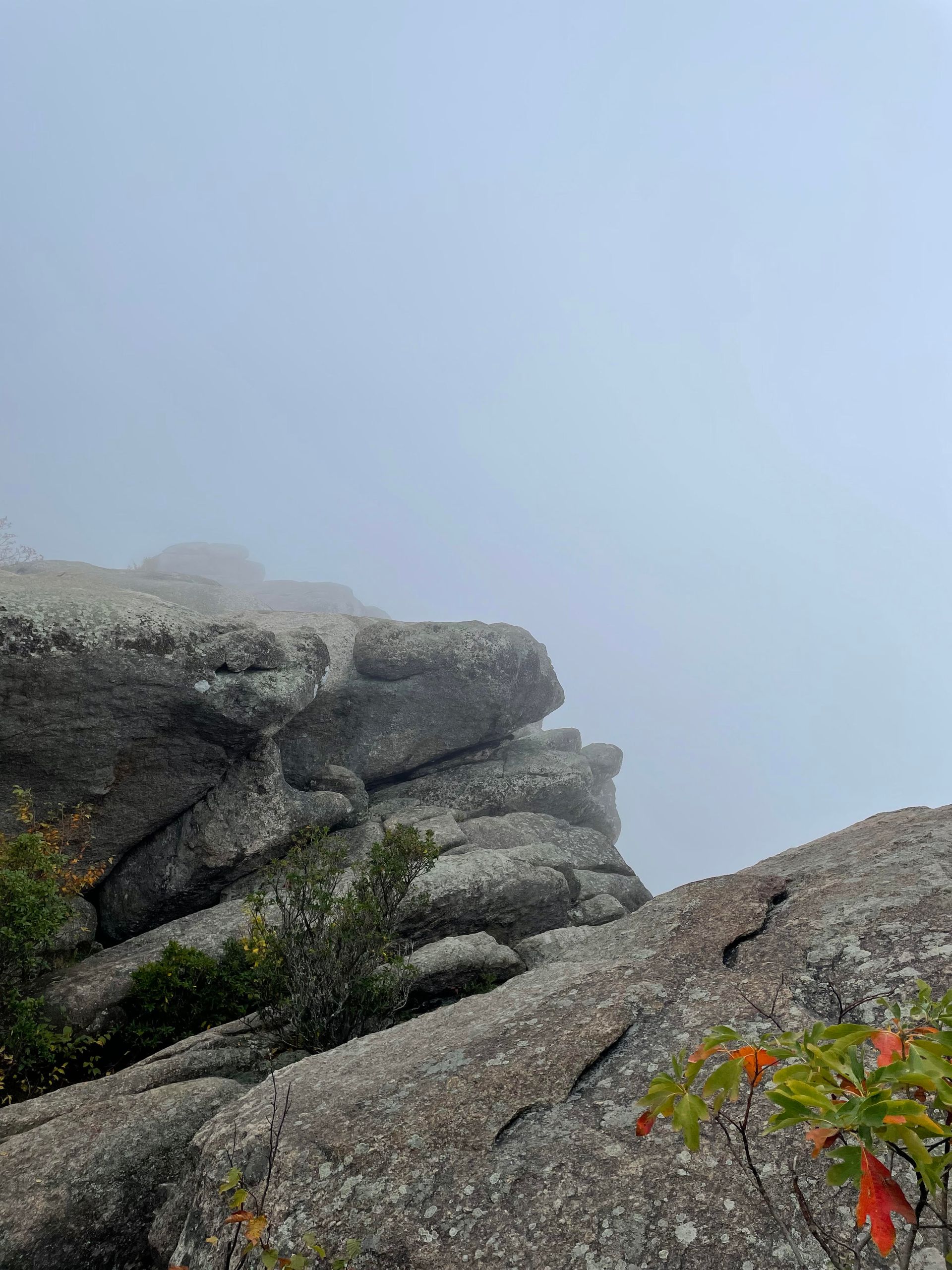 A rocky cliff in the fog with a tree in the foreground.