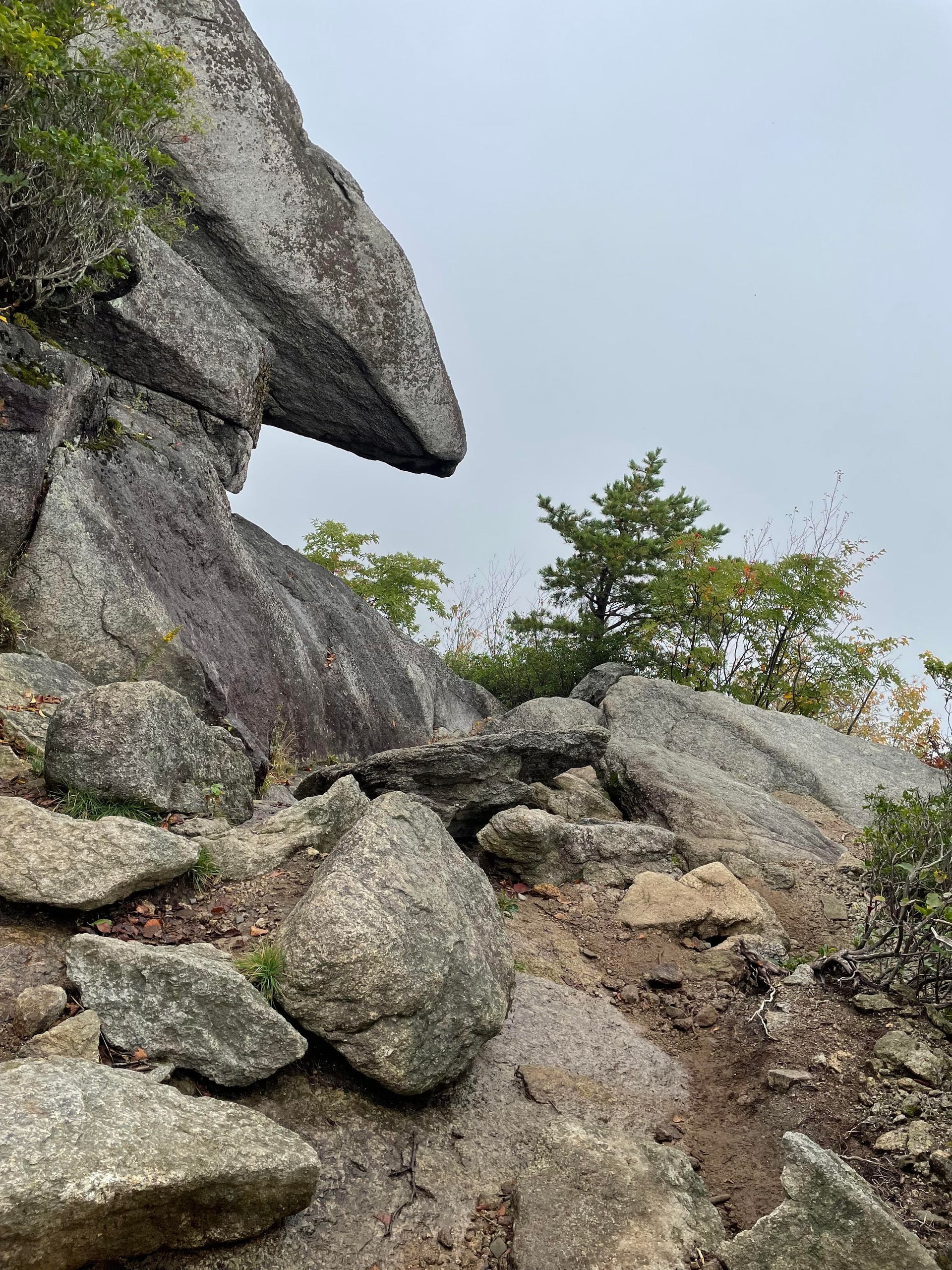 A cliff with a lot of rocks and trees on it.