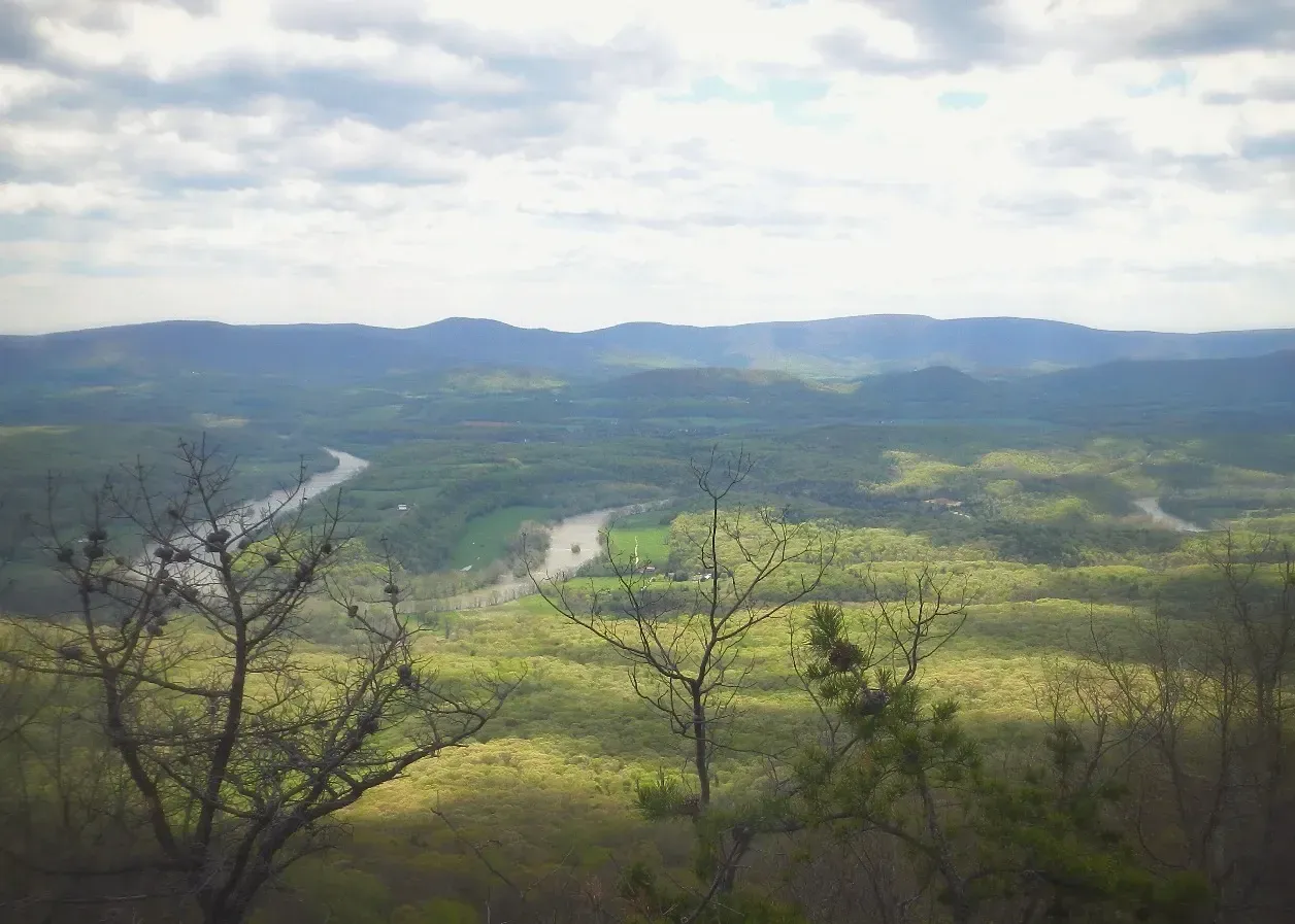 A view of a river running through a lush green valley with mountains in the background.