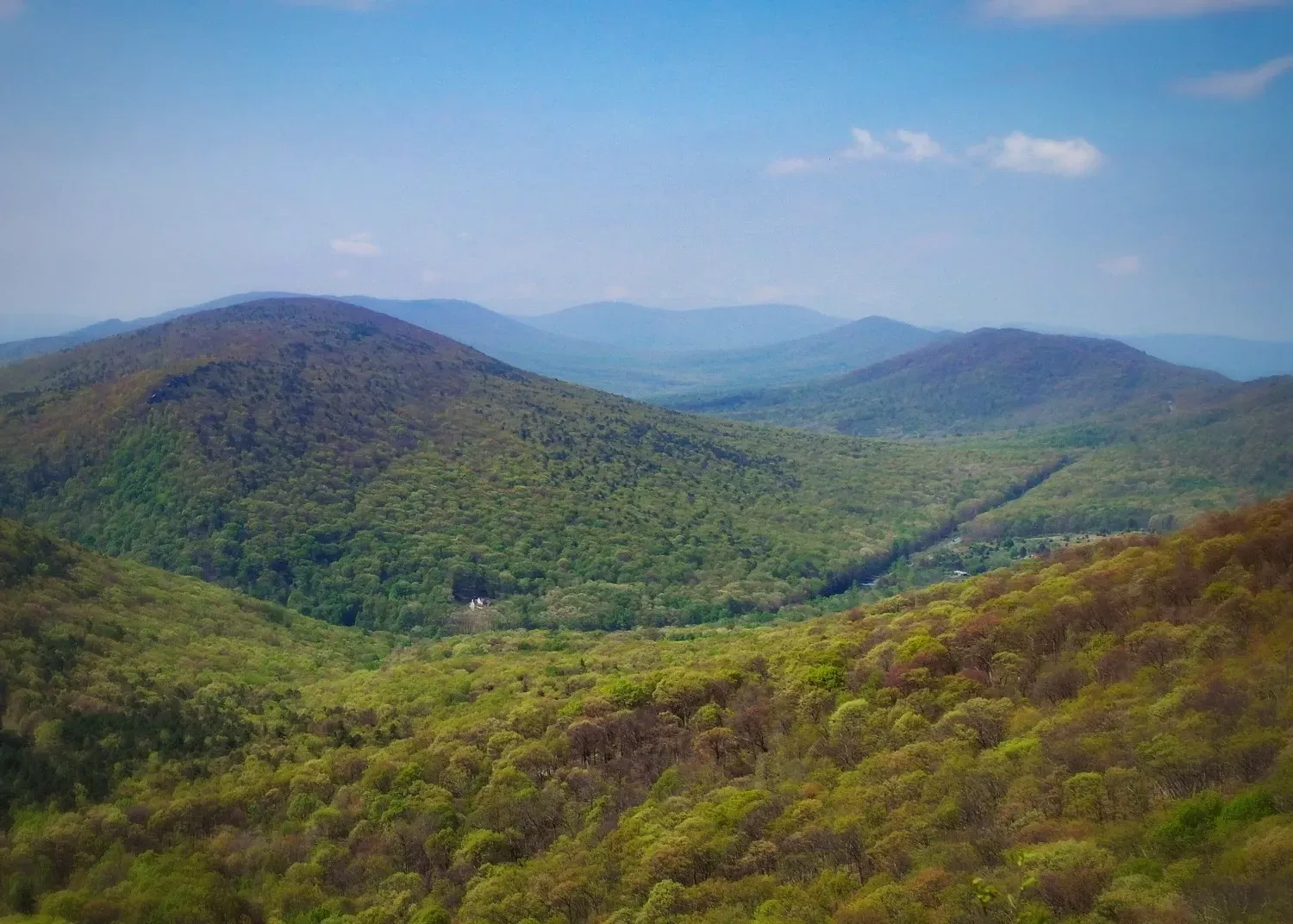 A view of a mountain range covered in trees on a sunny day.