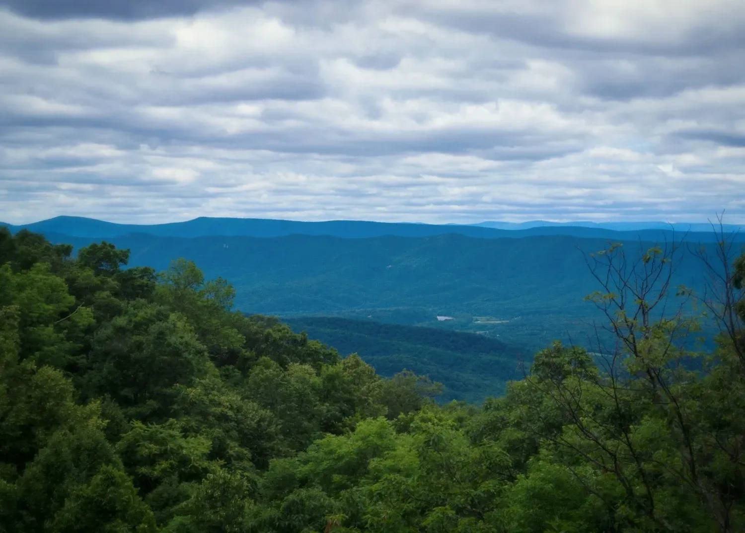 A view of a mountain range with trees in the foreground and a cloudy sky in the background.