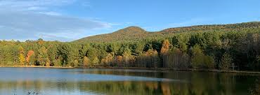 A lake surrounded by trees and mountains with a mountain in the background.