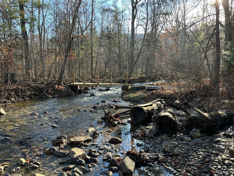 A river in the middle of a forest with rocks and trees.