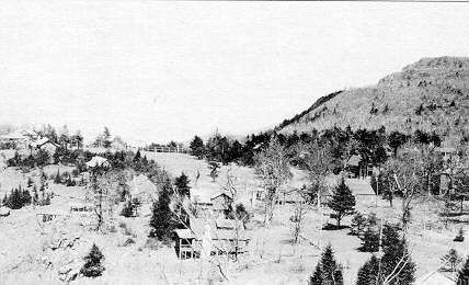 A black and white photo of a snowy landscape with trees and a mountain in the background.