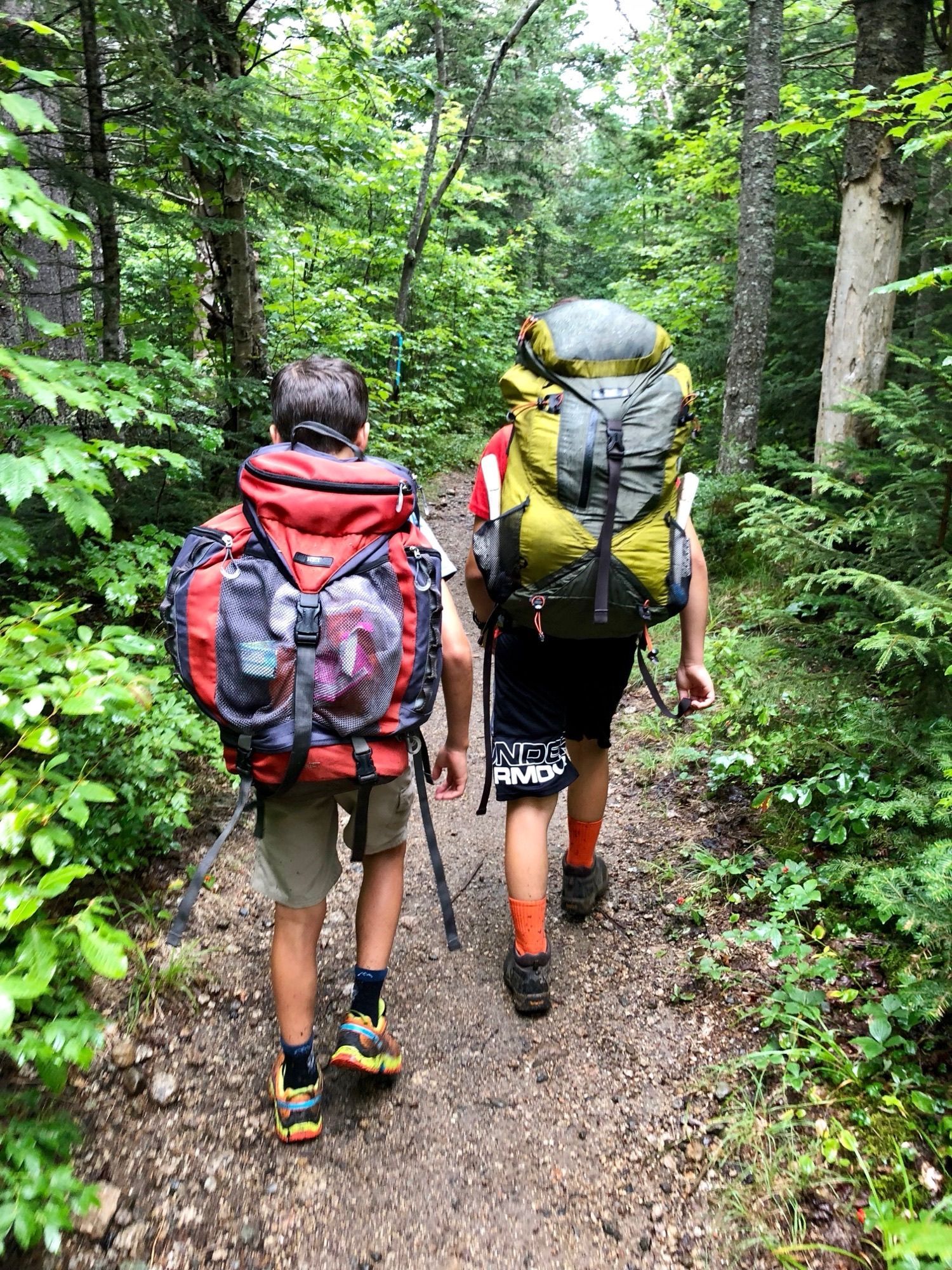 Two young boys with backpacks are walking down a dirt path in the woods.