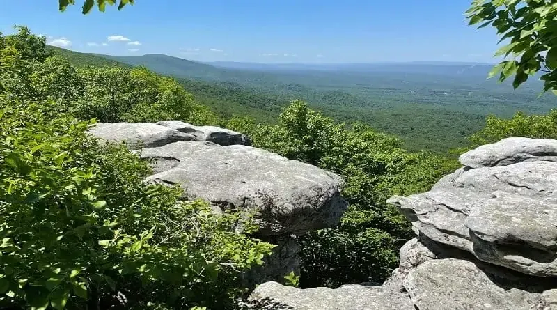 A view of a valley from a rocky cliff with trees in the foreground.