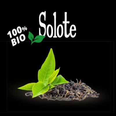 Logo Solote 100% bio con foglie verdi e terra su sfondo nero.
