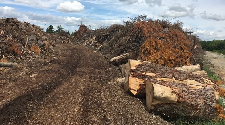 debris removal services hauling away