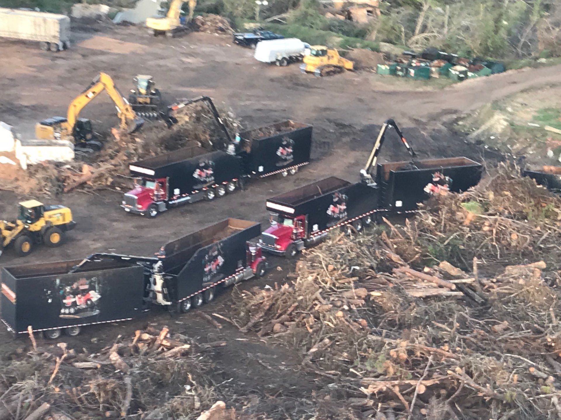 A bunch of dump trucks are sitting on top of a pile of wood.