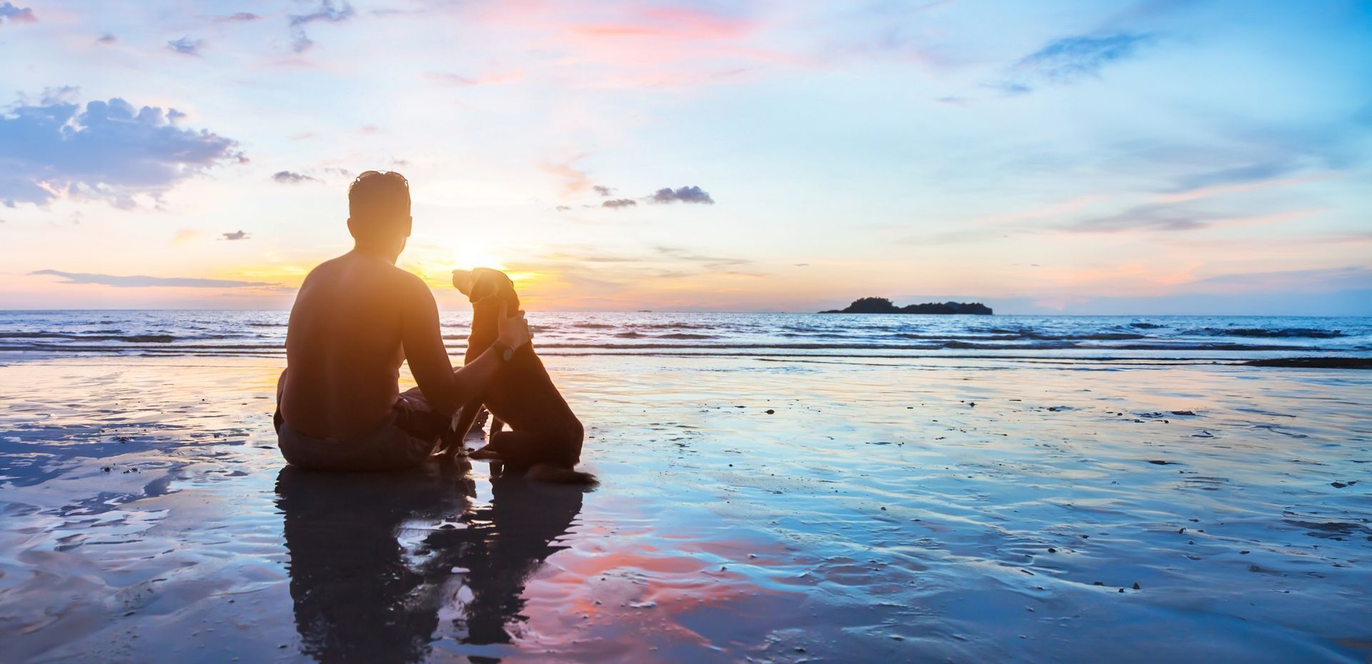 A person sits on a sandy beach at sunset, gazing out at the ocean with a dog sitting beside them.
