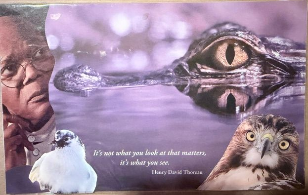 Guided Meditation for Mother Gaia Collage of a staring reptile eye, owl, cat, butterfly, and quote over a purple background