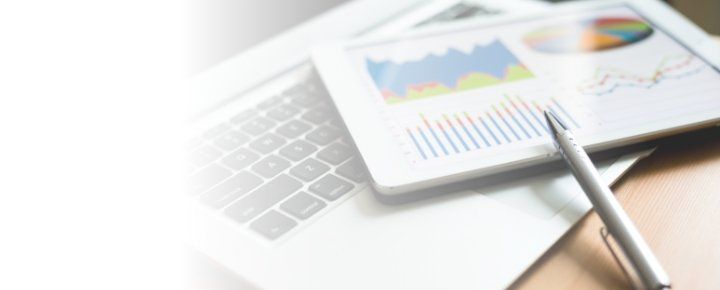 Business Intelligence (BI)